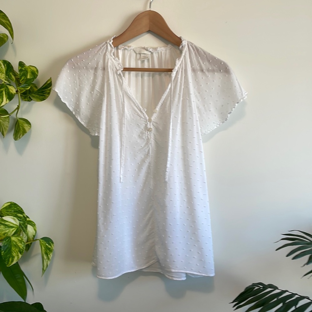 White Swiss Dot V-Neck Flutter Sleeve Blouse